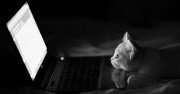 Daftar Harga Laptop Semua Merk Terbaru Desember 2015