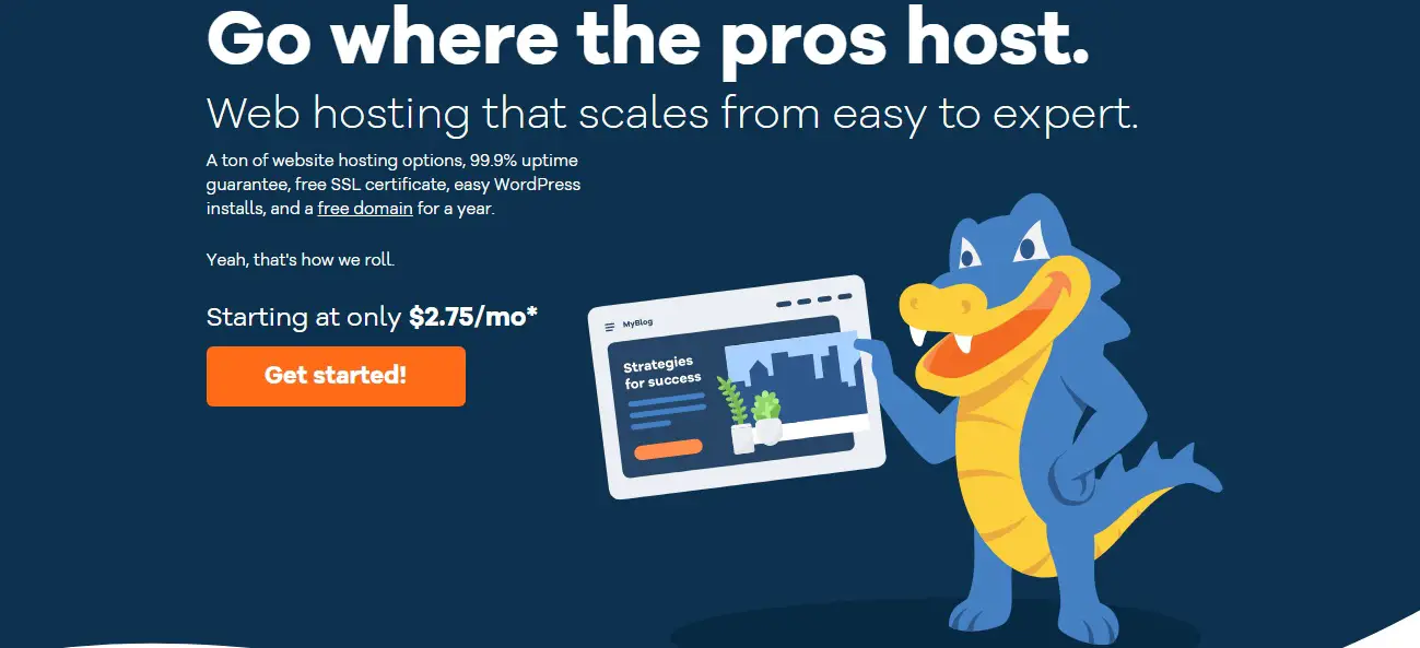 Hostgator Web Hosting